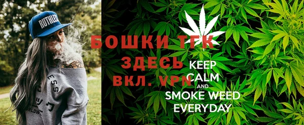 прущий лед Богородицк