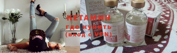 молекула духа Богданович