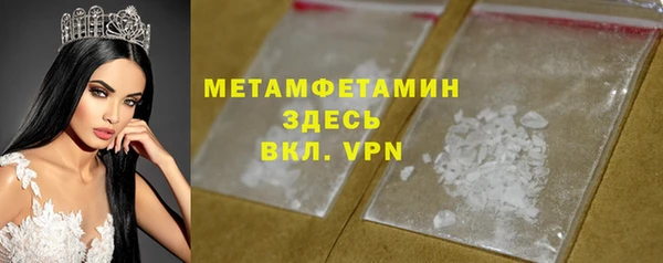 молекула духа Богданович
