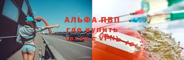 молекула духа Богданович