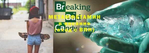 молекула духа Богданович