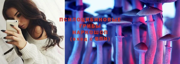 молекула духа Богданович