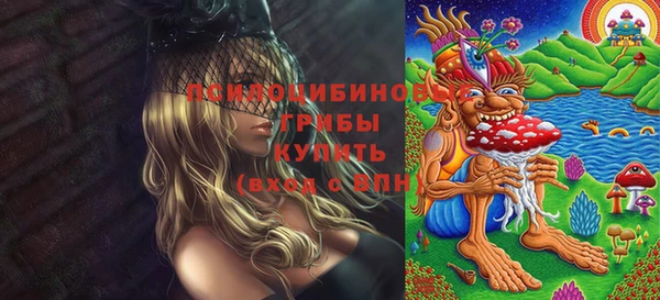 прущий лед Богородицк