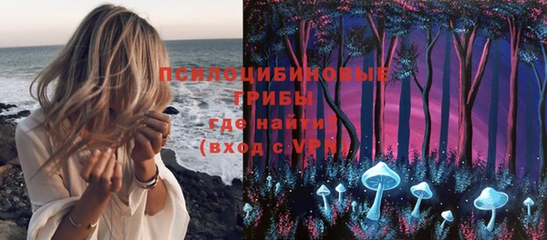 молекула духа Богданович