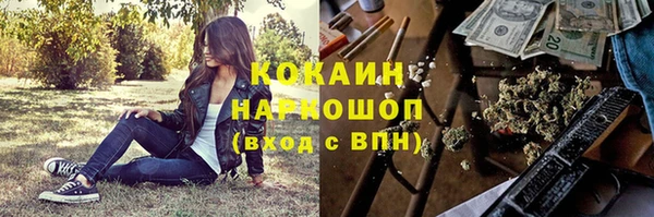 молекула духа Богданович