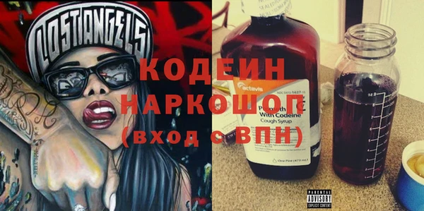 молекула духа Богданович