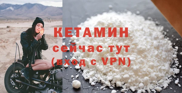 молекула духа Богданович