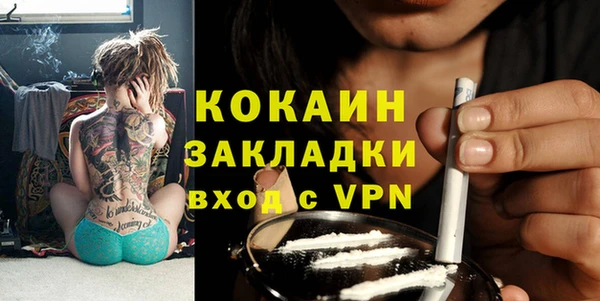 молекула духа Богданович