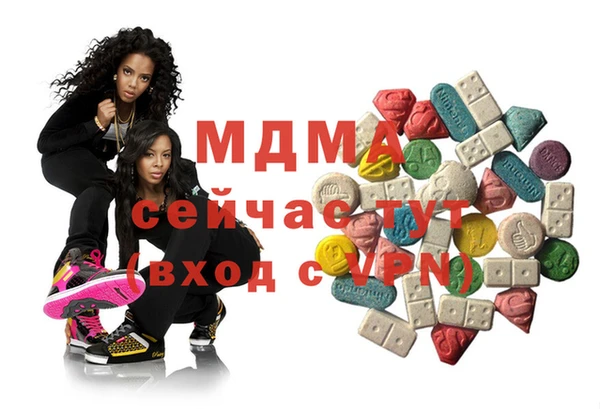 молекула духа Богданович