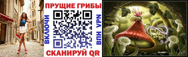 Псилоцибиновые грибы Magic Shrooms  Кирово-Чепецк 